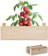 SORTLAND Sada na pěstování GrowCrate - rajčata - Seeds