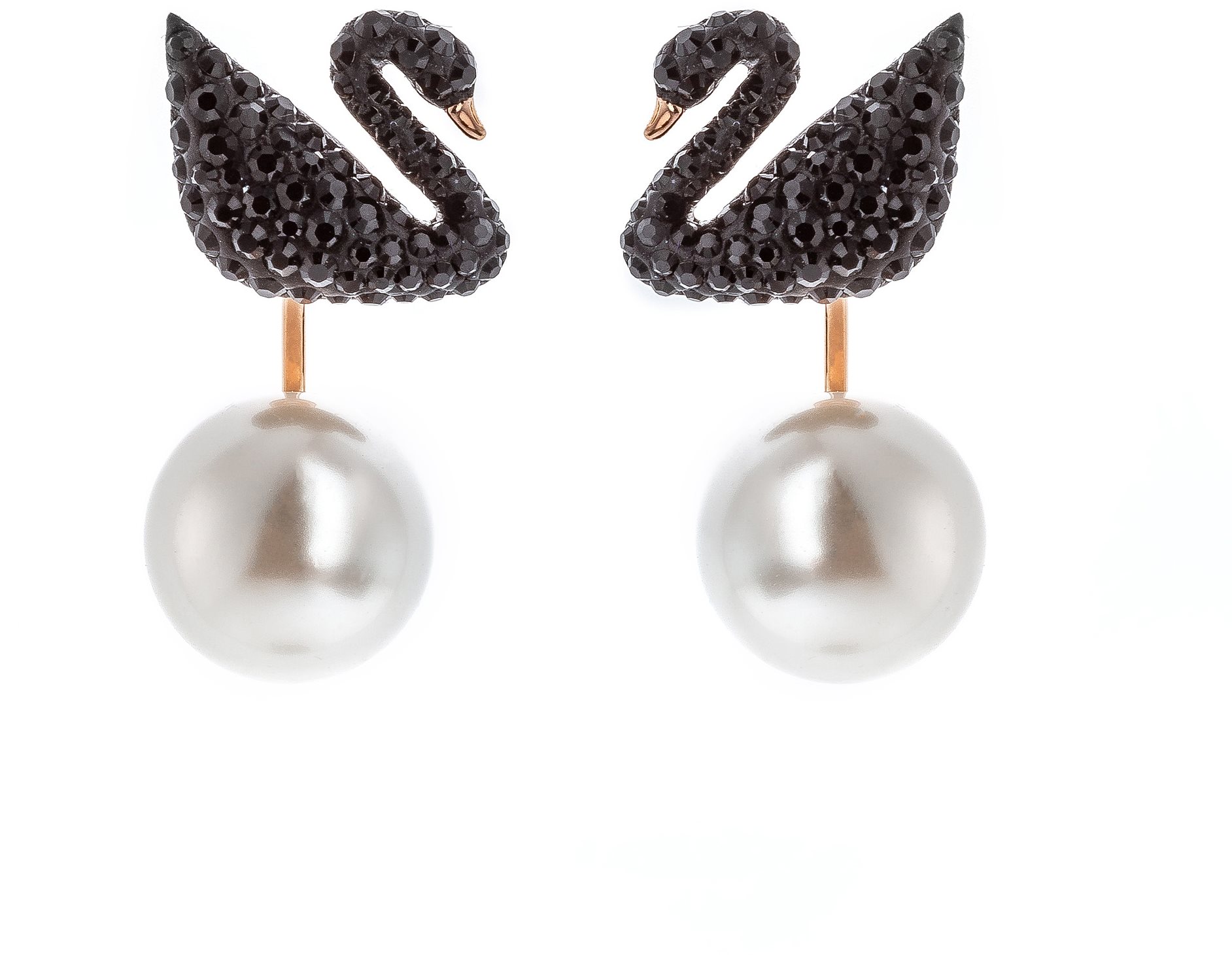 Khuyên Tai Swarovski Thiên Nga Đen Iconic Swan Earring 5193949