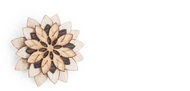 BeWooden LF2 Bellis Flower - Brooch