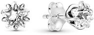 PANDORA People 290023C01 (Ag 925/1000, 1.4g) - Earrings