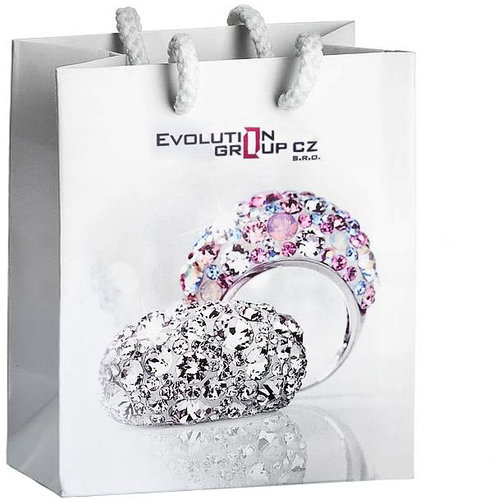 EVOLUTION GROUP 71041 12 × 11,5 × 7 cm - Gift Bag - Main image