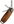 Organiser 2.0 Crazy Horse - Chestnut Brown
