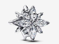 PANDORA Moments 793591C01 (Ag925/1000, 1,7 g) - Bead (Charm)