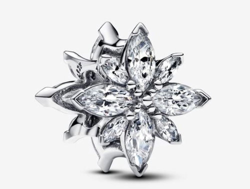 PANDORA Moments 793591C01 (Ag925/1000, 1,7 g) - Bead (Charm) - Main image