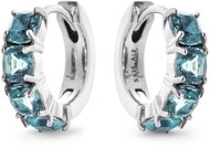 PANDORA 293851C01 (Ag925/1000, 3,8 g) - Earrings