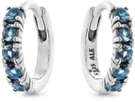 PANDORA 293849C01 (Ag925/1000, 1,3 g) - Earrings