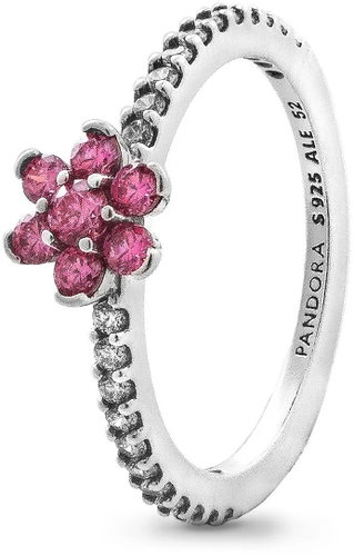 PANDORA Moments 194499C02-54 (Ag 925/1000, 1,9 g) - Ring - Main image