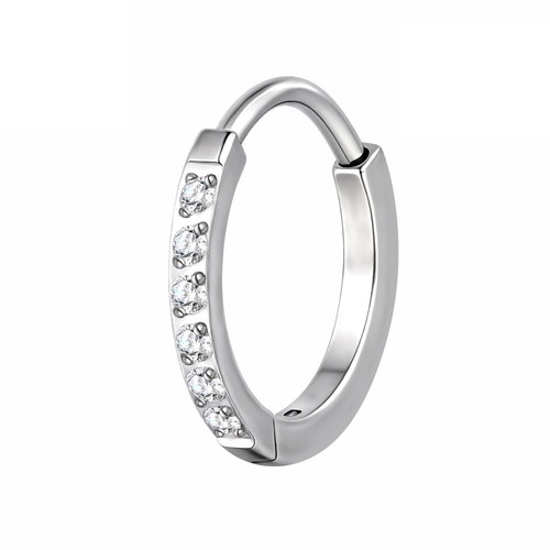 PININ Segmentový kroužek pro ucho, leštěný (0,8 mm) – titan - Piercing - Main image