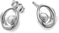 PANDORA Moments 293295C01 (Ag 925/1000, 1,9 g) - Earrings