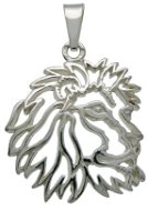 Silver Lion Paws (925/1000 2.41 g) - Charm