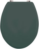 MSV WC prkénko CLEO, tmavě zelené - Toilet Seat