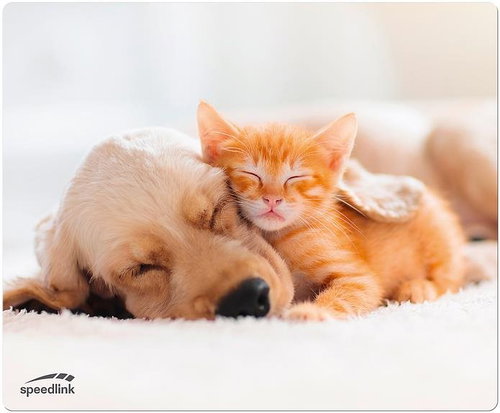 Speedlink SILK Mousepad, Dog & Cat - Mouse Pad - Main image