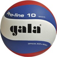 Gala Pro Line BV 5121 S - Volejbalový míč