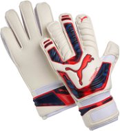 Puma evo POWER Grip 2 RC white-peacoat 10 - Goalkeeper Gloves