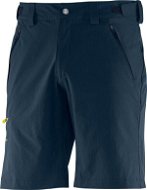 Salomon Wayfarer Short Big Blue-x / alpha yellow 48 - Shorts