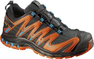 Salomon XA PRO 3D GTX® Fekete / rd / kék vonal 10 - Cipő