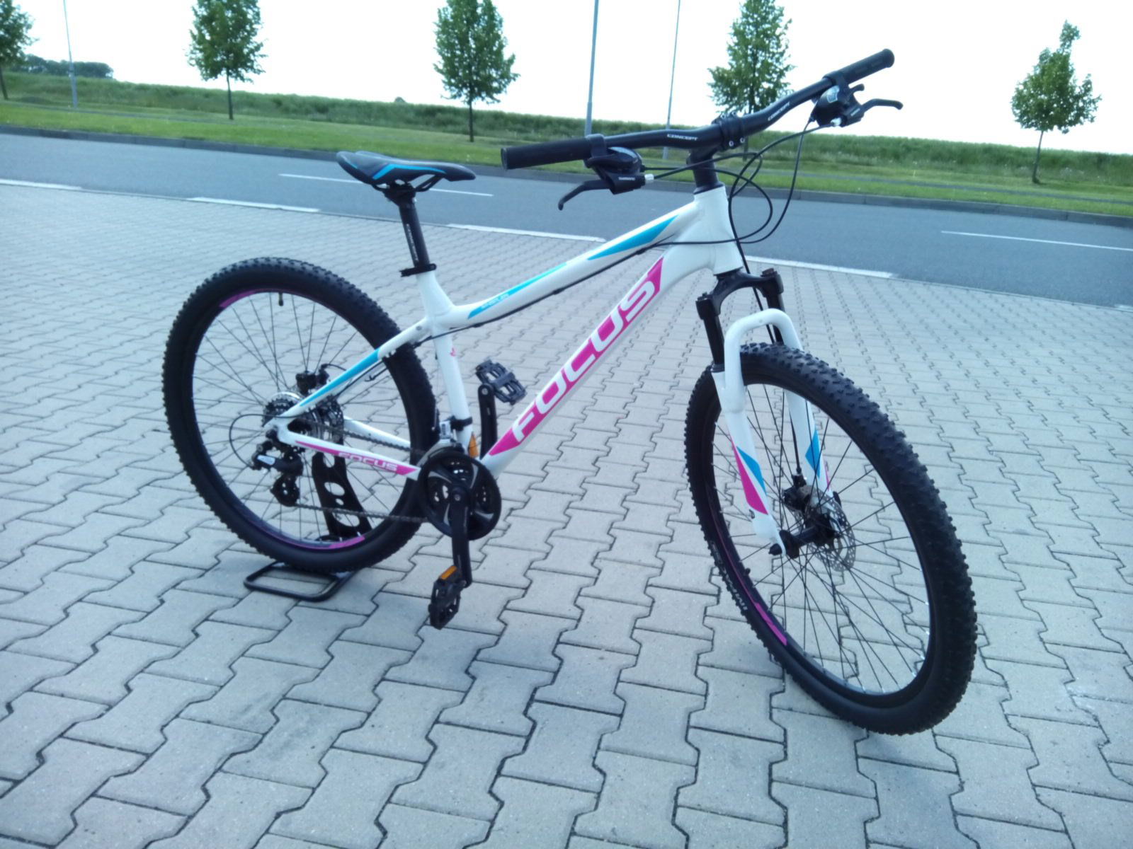 Focus whistler 4.0 online 27.5