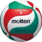 Molteni V5M4500 - Volleyball