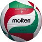 Molten V5M2000 - Volleyball