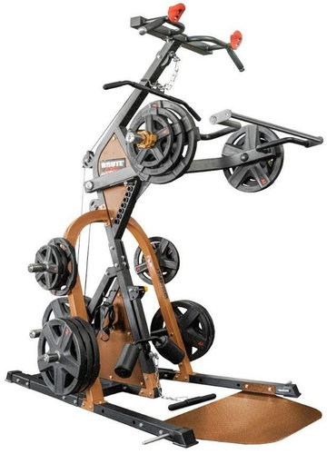 BRUTE FORCE For Raptor Lever Gym discs - Multi Gym - Main image