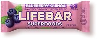 Lifefood Lifebar Superfoods RAW BIO 47 g, borůvka s quinoou - Raw tyčinka