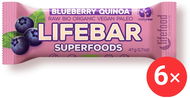 Lifefood Lifebar Superfoods RAW BIO 6 x 47 g, borůvka s quinoou - Raw tyčinka