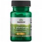 Swanson L.plantarum - podpora střev, 30 rostlinných kapslí - Dietary Supplement
