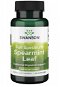 Swanson Full Spectrum Spearmint Leaf (podpora trávenia), 400 mg, 60 kapsúl - Doplnok stravy