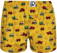 Dedoles GMLB168 - Boxer Shorts