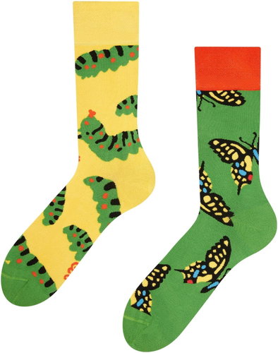 Dedoles D-U-SC-RS-C-B-1548, size 35 - 38 - Socks - Main image
