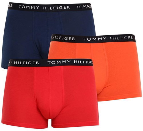 Tommy Hilfiger 3Pack UM0UM02203 0TL, sizing. L - Boxer Briefs - Main image