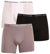 Tommy Hilfiger 3Pack UM0UM02204 0TG, sizing. L - Boxer Briefs