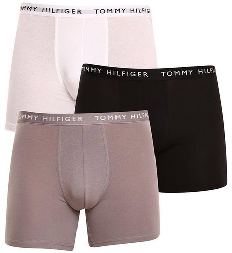 Tommy Hilfiger 3Pack UM0UM02204 0TG, sizing. L - Boxer Briefs - Main image