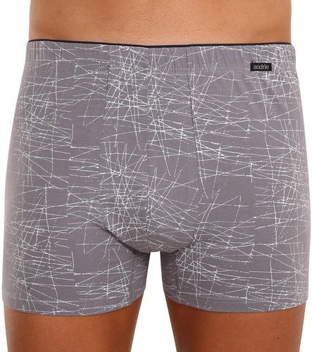 Andrie PS 5552 A - grey, sizing. XL - Boxer Briefs - Main image