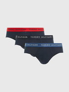 Tommy Hilfiger 3Pack UM0UM02389 0V4, sizing. L - Briefs
