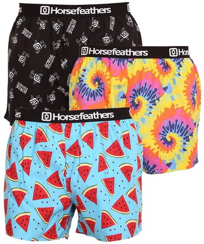 Horsefeathers 3Pack AM096E, sizing. XL - Boxer Shorts - Main image