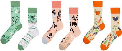 Dedoles RS1383369, size 39 - 42 - Socks - Main image