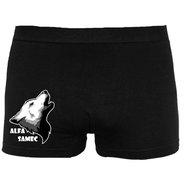 Nedeto P01582-man, sizing. L - Boxer Briefs