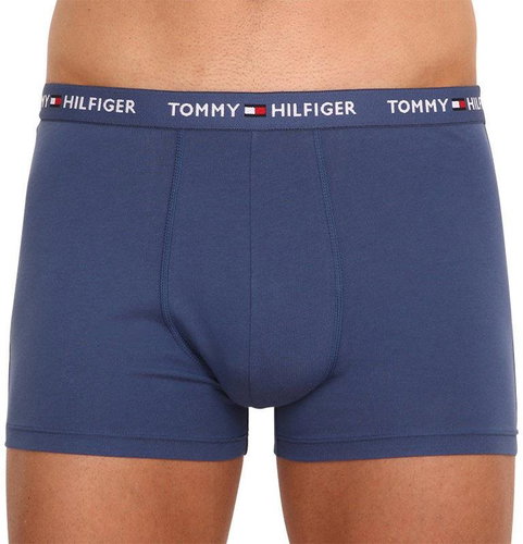 Tommy Hilfiger UM0UM01659 C47, sizing. M - Boxer Briefs - Main image
