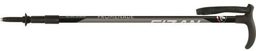 PHYSAN PROMENADE - Trekking pole - Main image