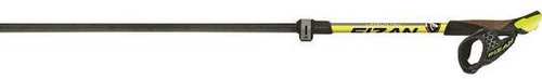 PHYSAN CARBON PRO - Nordic Walking Poles - Main image