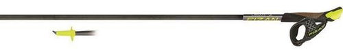 FIZAN CARBON 3K cm 125 - Nordic Walking Poles - Main image