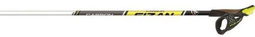 FIZAN CARBON RACE cm 100 - Nordic Walking Poles - Main image