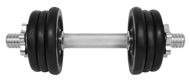 Dumbell Lifefit Dumbbell 9kg - Činka