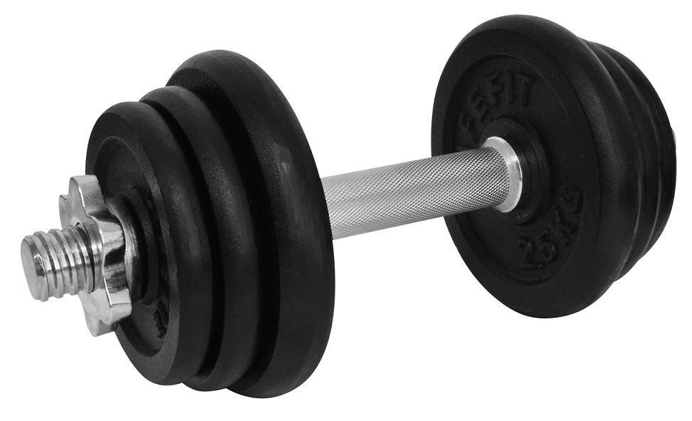 12kg dumbbell deals