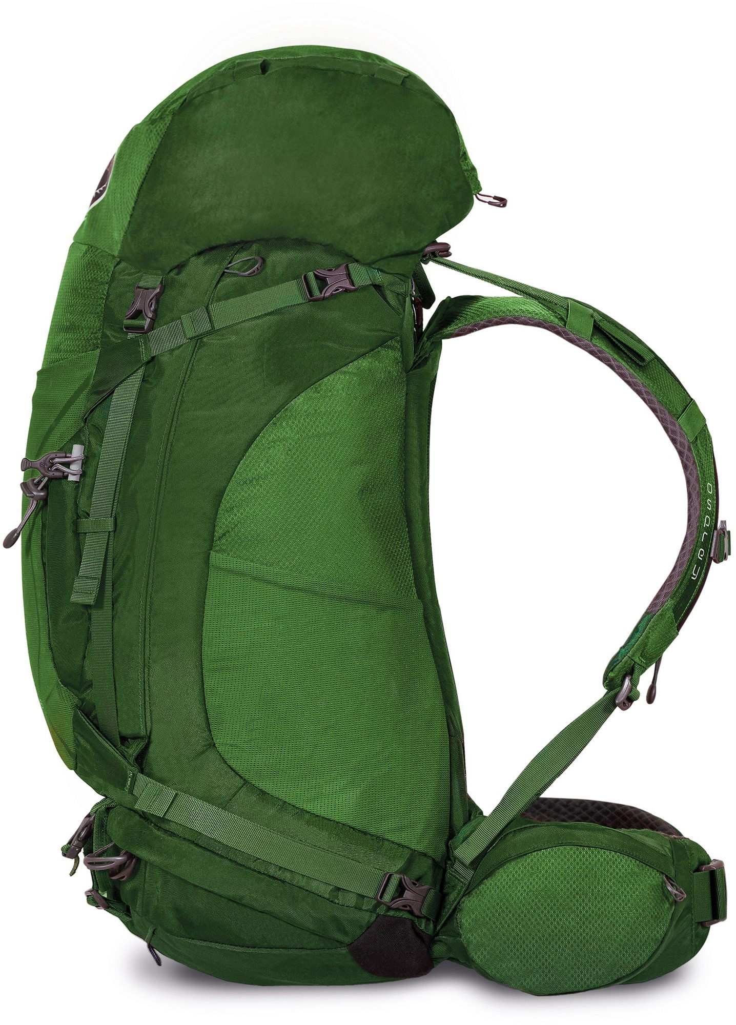 Osprey kestrel 48 jungle green sale