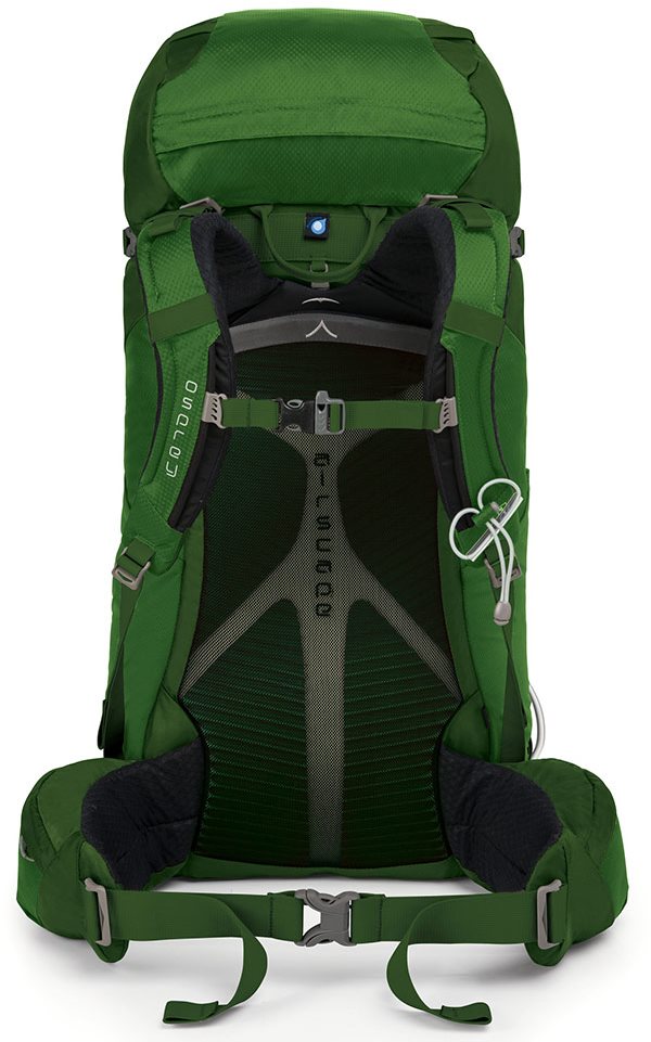 Osprey kestrel 48 jungle green best sale