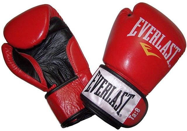 Everlast fighter boxing store gloves