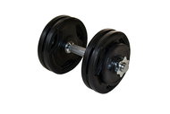 FitnessLine Jednoruční nakládací činka s pogumovanými kotouči - 14,5 kg - Dumbell