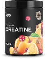 CREATINE 500 G SEX ON THE BEACH PREMIUM KFD - Creatine
